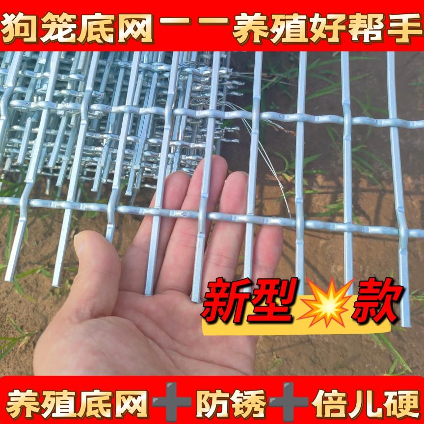 狗笼子底网狗场网床镀锌防锈编织网养殖底网铁丝网围栏隔离防抛网图片