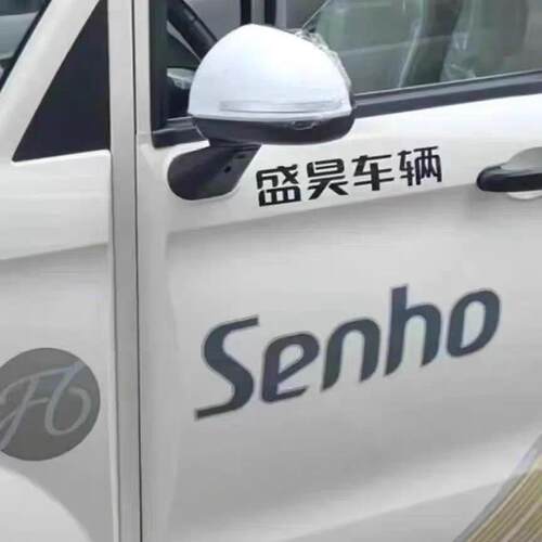 盛昊F1 F3 D5 F6 G2新能源电动三轮车四轮车后照镜后视镜反光镜