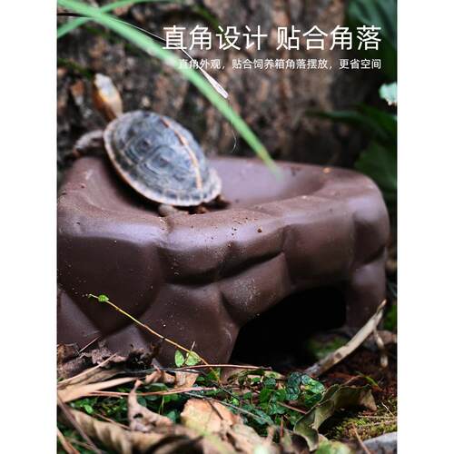 黄园龟专用庇护孔安源闭壳龟半水生龟繁殖箱景观美化保湿蓄水庇护