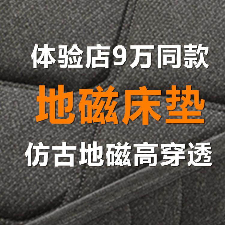 健康姿百床垫 彷古地磁床垫巴马地磁床垫 石墨烯磁和也能磁疗床垫