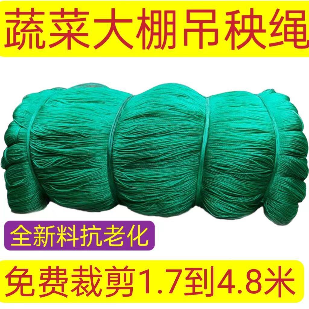 吊秧绳吊蔓绳黄瓜西红柿辣椒吊绳蔬菜大棚尼龙绳耐磨聚乙烯线农用