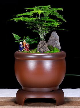 宜兴紫砂花盆舍得精品兰花盆君子兰盆景盆室内阳台古典带托盘陶瓷