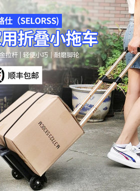 折叠购物拖车小推车二轮小拉车家用买菜手拉车可放进背包的迷你车