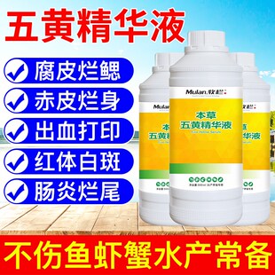 本草五黄精华液水产养殖专用腐皮烂腮烂身烂尾三黄五黄散