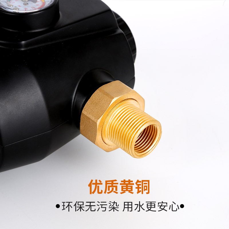 全屋反冲洗不锈钢前置过滤器 免换芯家用进水管净水设备
