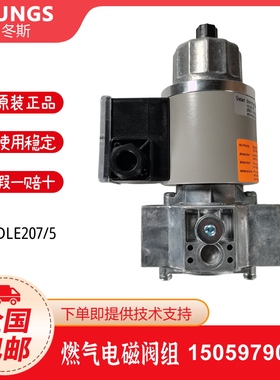 冬斯DUNGS电磁阀MVDLE205 MVDLE207 MVDLE210 MVDLE215 MVDLE220