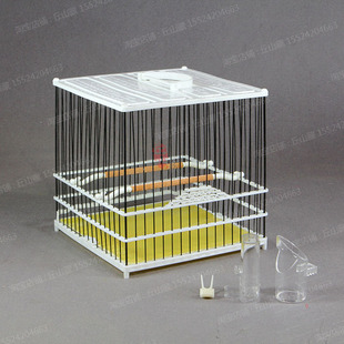 二代塑钢鸟笼板顶南秀绣眼鸟笼山雀芙蓉金青玻璃钢方笼洗澡笼包邮