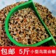 七彩文鸟芙蓉鸟金丝雀鸟珍珠鸟芙蓉鸟玉鸟食混合鸟食鸟粮饲料 包邮