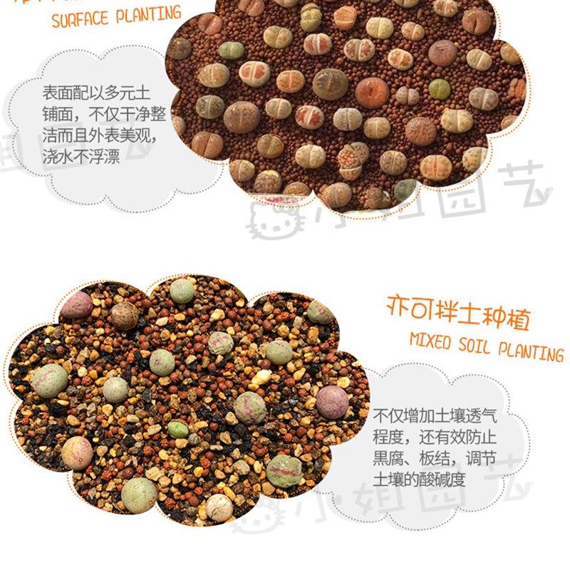 猫小姐精品凹凸多元土多肉铺面颗粒多元素营养土园艺植物绿植种植,鲜花速递/花卉仿真/绿植园艺,介质/营养土,淘宝优惠券,粉丝福利购,淘宝优惠卷