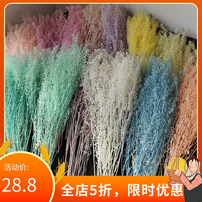 迷你翠扇永生花礼盒玻璃罩浮游保鲜花家居插花装饰白色花束礼品