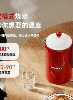 DAEWOO/ 大宇电热水壶恒温热水壶家用烧水壶全自动保温一体不锈钢