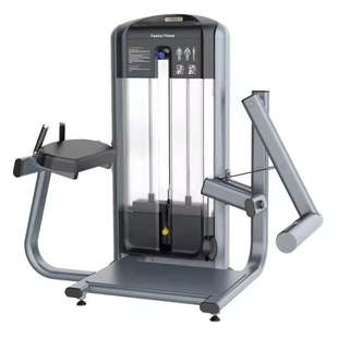 jambe élévation arrière 后抬腿训练器Entra?neur