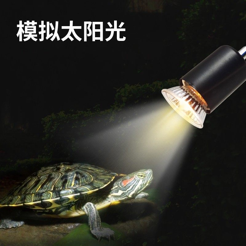乌龟晒背灯加热灯爬宠专用宠物照背恒温全光谱灯泡太阳灯龟缸龟灯,宠物/宠物食品及用品,爬宠缸/箱,淘宝优惠券,粉丝福利购,淘宝优惠卷
