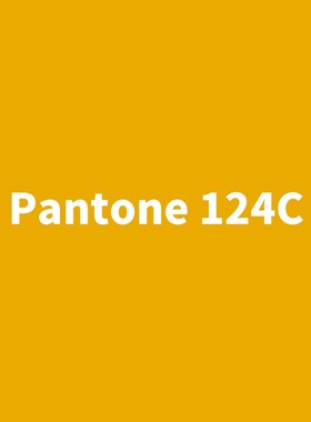 潘通系列自喷漆Pantone 123C/1235C/124C 明亮黄色/橘黄/暗黄色