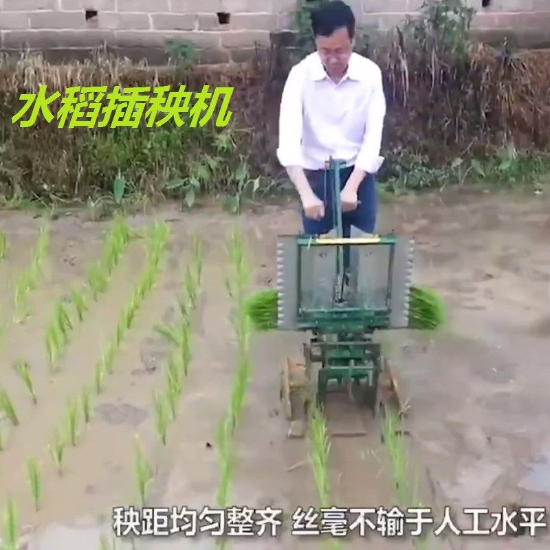 水稻插秧机手摇式新式两行插禾机小型插秧机种植机农用耕种机械,农机/农具/农膜,耕种机械/微耕机/开沟机,淘宝优惠券,粉丝福利购,淘宝优惠卷