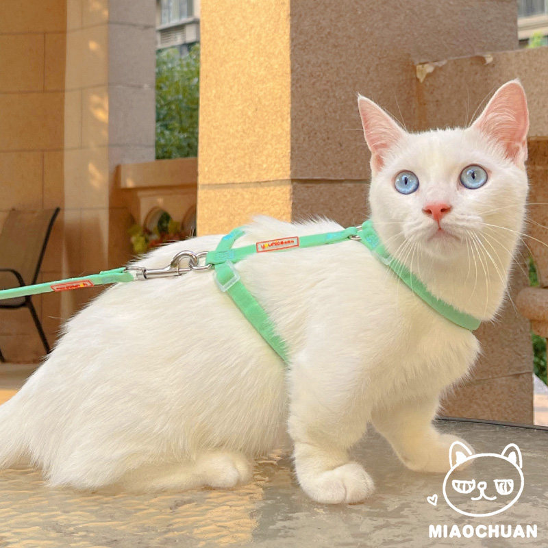 喵川铺子猫咪牵引绳防挣脱猫咪专用透明背心式遛猫绳子外出链,宠物/宠物食品及用品,猫牵引绳,淘宝优惠券,粉丝福利购,淘宝优惠卷