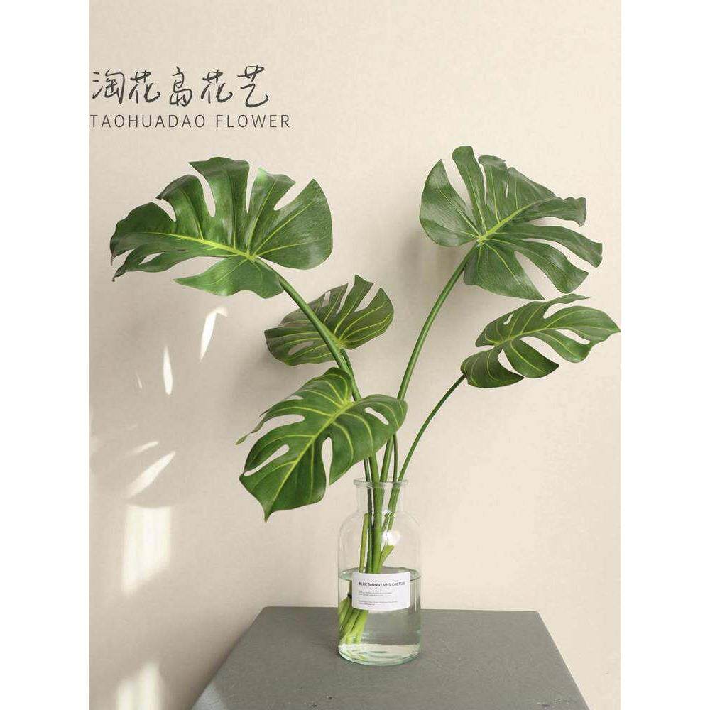 龟背竹叶彷真绿植水培桌面装饰摆件公司店铺摆放北欧清新绿叶花艺