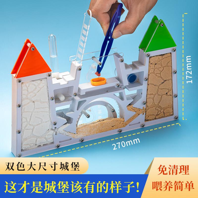 大型号蚂蚁宠物双城堡工坊生态箱送蚁后王国庄园别墅观察窝屋盒子