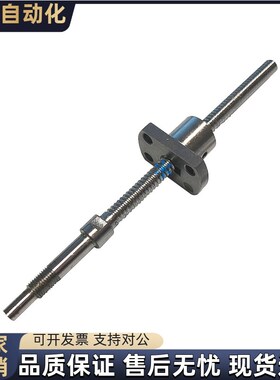 LCV55/57-25-5/10/20-L300 L1500滚珠丝杠LCV31-25-5-L200 L1500