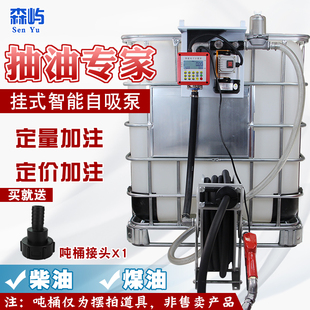 森屿挂式 计量油抽泵全自动压力泵摇控电动泵柴油计量泵220V12V24V