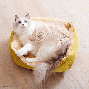 猫咪世界 秋冬季保暖四季通用猫沙发猫窝猫床猫垫子宠物床 用品