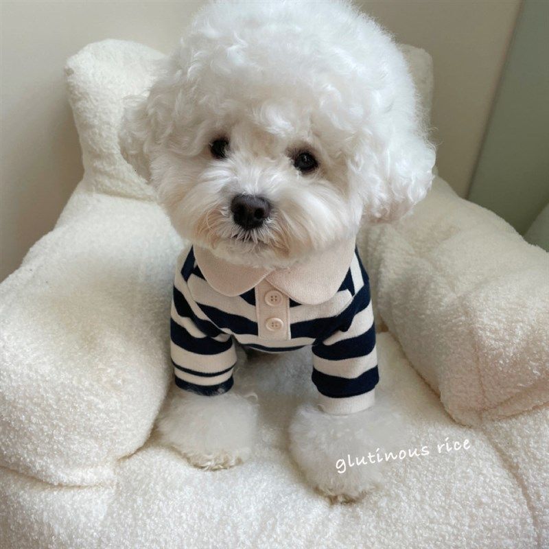 宠物狗狗猫咪透气条纹圆领T恤比熊泰迪犬小型犬中型犬防掉毛衣服,宠物/宠物食品及用品,狗宠物服装/雨衣,淘宝优惠券,粉丝福利购,淘宝优惠卷