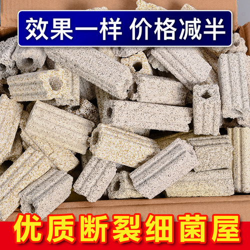 断裂细菌屋鱼缸水族鱼池纳米培菌破损净水细菌屋硝化细菌柱石英环