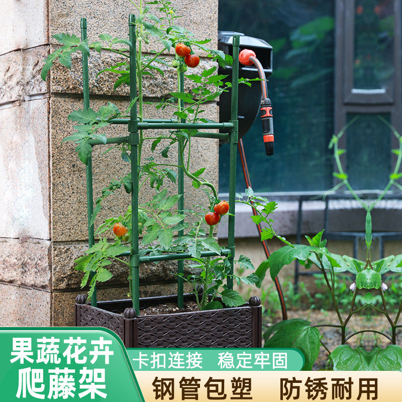 番茄架子西红柿种植架种菜黄瓜搭架植物花架子室外爬藤支架支撑杆,鲜花速递/花卉仿真/绿植园艺,花架,淘宝优惠券,粉丝福利购,淘宝优惠卷