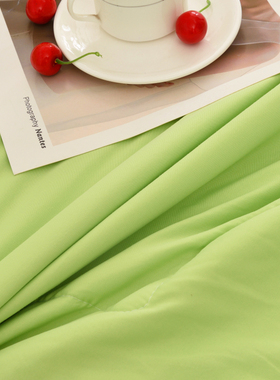 小清新绿色双层花边枕芯套一对装48*74cm学生单人宿舍枕巾枕头皮