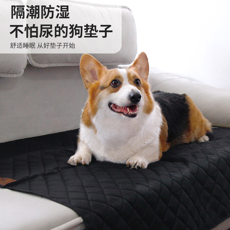 宠物地垫狗垫子耐磨四季睡觉用防滑垫防水尿撕咬睡垫狗笼子隔尿垫,宠物/宠物食品及用品,猫狗垫子,淘宝优惠券,粉丝福利购,淘宝优惠卷