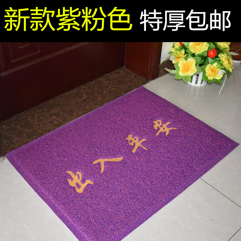 蓝色地毯大门口室外防滑门垫门厅玄关除尘脚垫pvc丝圈地垫可定制