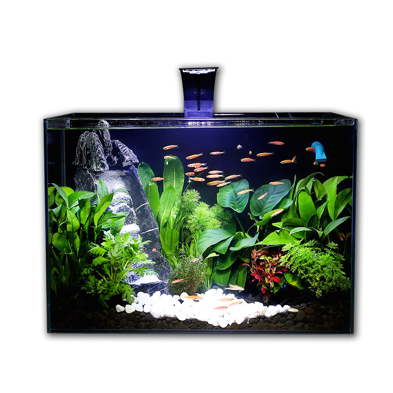 超白玻璃生态鱼缸水族箱自循环免换水客厅电视柜家用桌面生态草缸,宠物/宠物食品及用品,桌面缸,淘宝优惠券,粉丝福利购,淘宝优惠卷