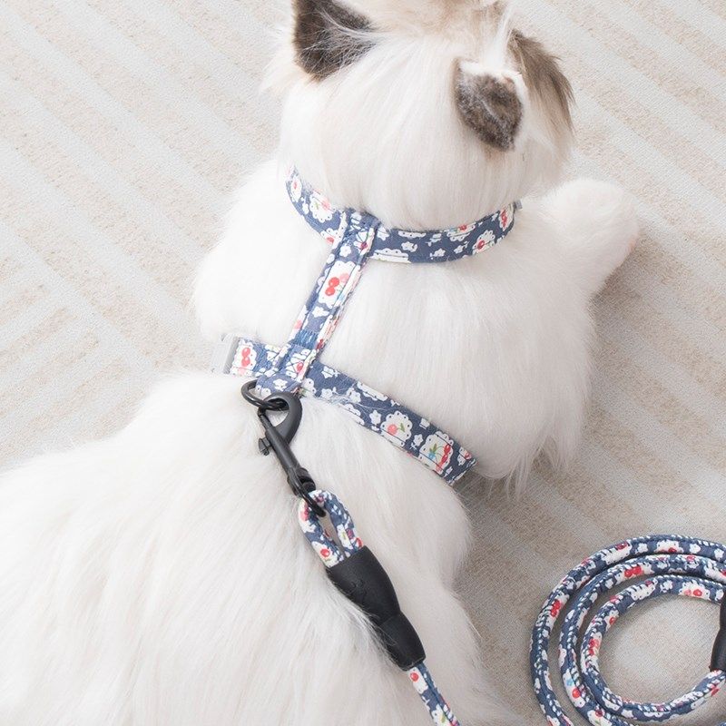 猫咪牵引绳日式背带防挣脱外出专用猫绳子蓝幼猫布偶英短遛猫链子,宠物/宠物食品及用品,猫牵引绳,淘宝优惠券,粉丝福利购,淘宝优惠卷