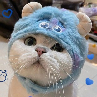 约克夏专用帽子宠物小狗狗头套冬天冬季可爱保暖小型犬幼犬用品