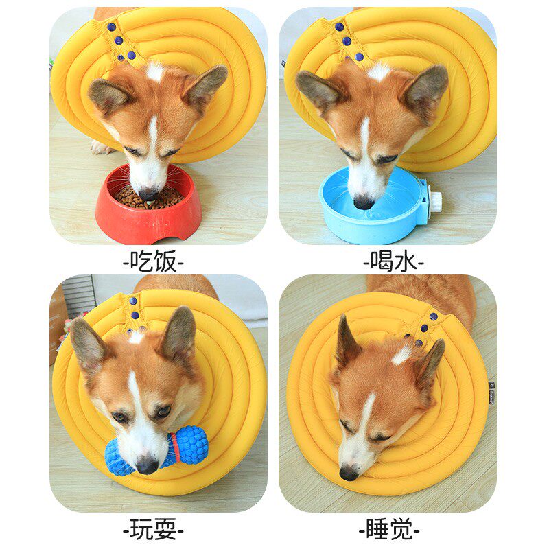 狗狗伊丽莎白圈项圈防咬防舔耻辱圈头套柯基法斗绝育脖圈伊利沙白