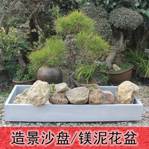 长方形水泥花盆迎客松微景观造景沙盘盆景创意镁泥花箱客厅门店