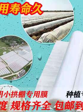 农用种植白色透明塑料薄膜小拱棚保温蔬菜大棚膜地膜二模加厚