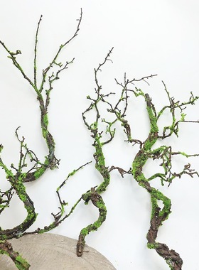 仿真青苔树藤枯藤装饰摆饰乾燥树枝藤蔓造景假藤条森系庭院绿植苔