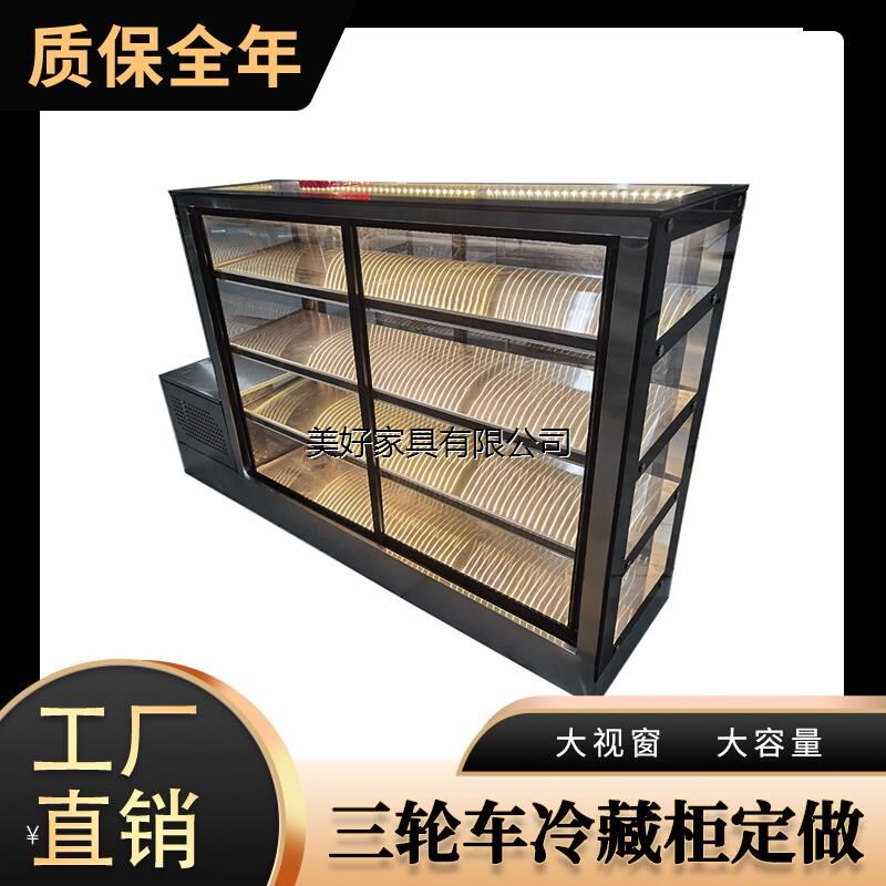 商用冷藏冷冻柜小型炸串烧烤熟食卤菜保鲜展示柜三轮车摆摊冰柜