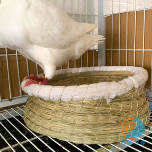 草窝鸽子巢窝防侧翻保暖孵蛋专用小鸟窝赛鸽信鸽用品大全用具鸽具