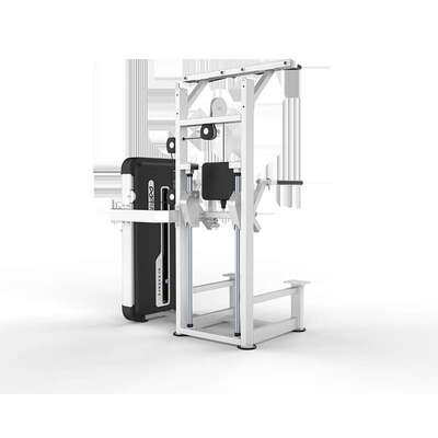 DHZFITNESS大胡子【咨询有惊喜】运动健身器材U3009A单双杠训练器