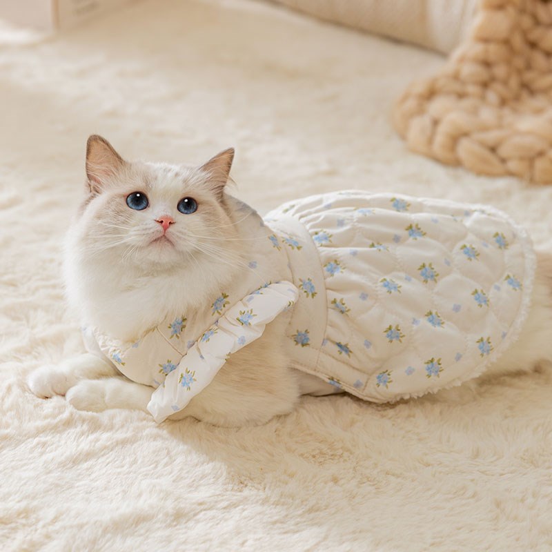 宠物猫咪小清新波浪绗棉情侣装棉衣秋冬衣服防掉毛布偶猫英短蓝猫