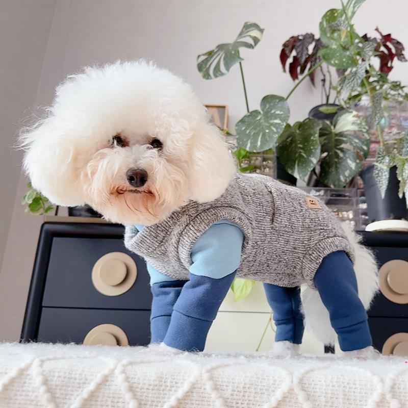 安班狗狗秋冬中厚包肚马甲泰迪比熊博美猫咪犬保暖毛衣背心双排扣