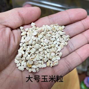 小宠金丝熊仓鼠玉米沙玉米芯夏季垫料无尘干爽挖掘沙挖掘垫料