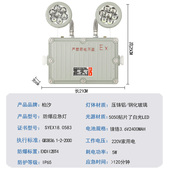 防爆应急灯LED疏散标志牌消防C照明灯加油站EX防爆安全出口指示灯