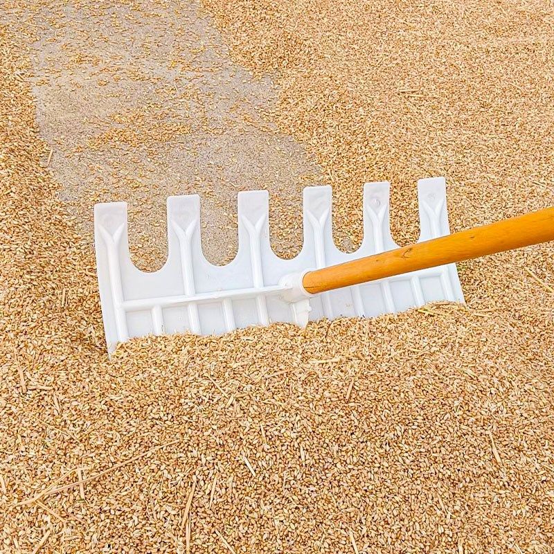 推粮食耙子神器小麦玉米塑料推板稻谷花生加厚农作物刮板清粪铲子,鲜花速递/花卉仿真/绿植园艺,耙子,淘宝优惠券,粉丝福利购,淘宝优惠卷