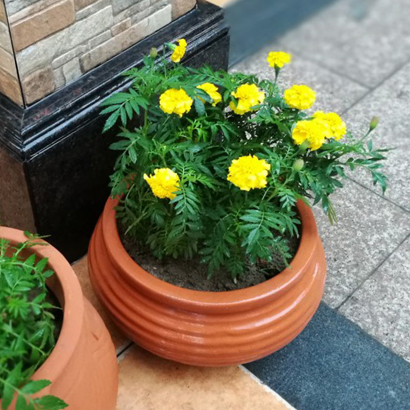 园林红陶土花盆景观陶罐多肉花盆陶瓷花瓶摆件阳台别墅粗陶小花盆