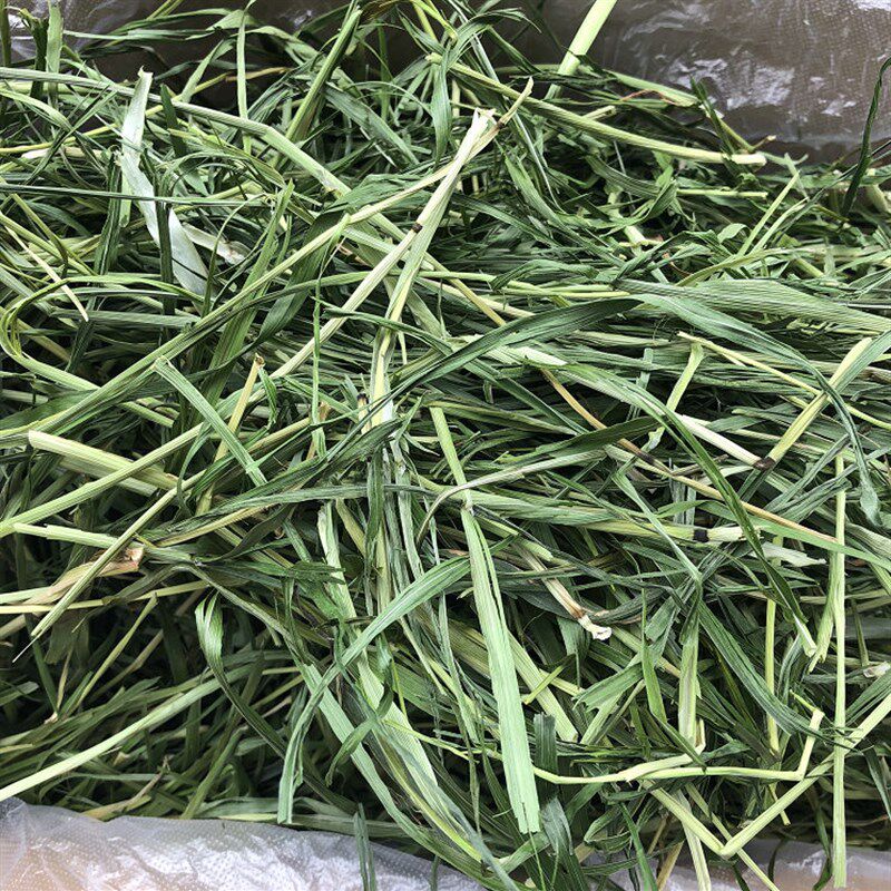 21年二茬赫尔达特级烘干提摩西草毛重1公斤箱装南提包邮10月新到