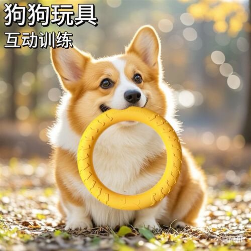 狗狗玩具咬不坏耐咬洁齿巡回飞盘泰迪柯基金毛中大型犬小狗防拆家