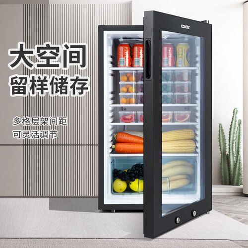 幼儿园食品留样柜专用柜酒店小冰箱小型保鲜柜冷藏展示柜温度显示